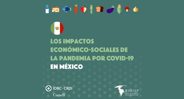 Los impactos económico-sociales de la pandemia por COVID-19 en México ...