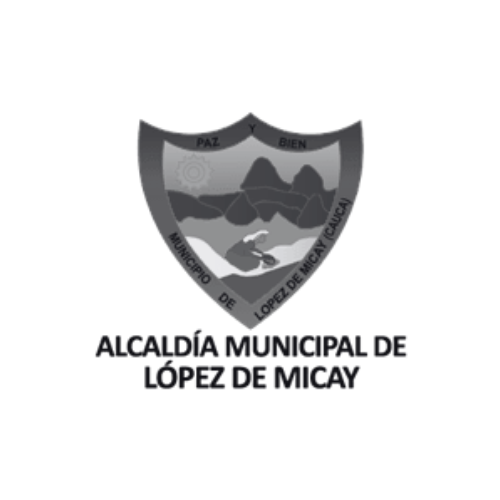 Alcaldía de López de Micay