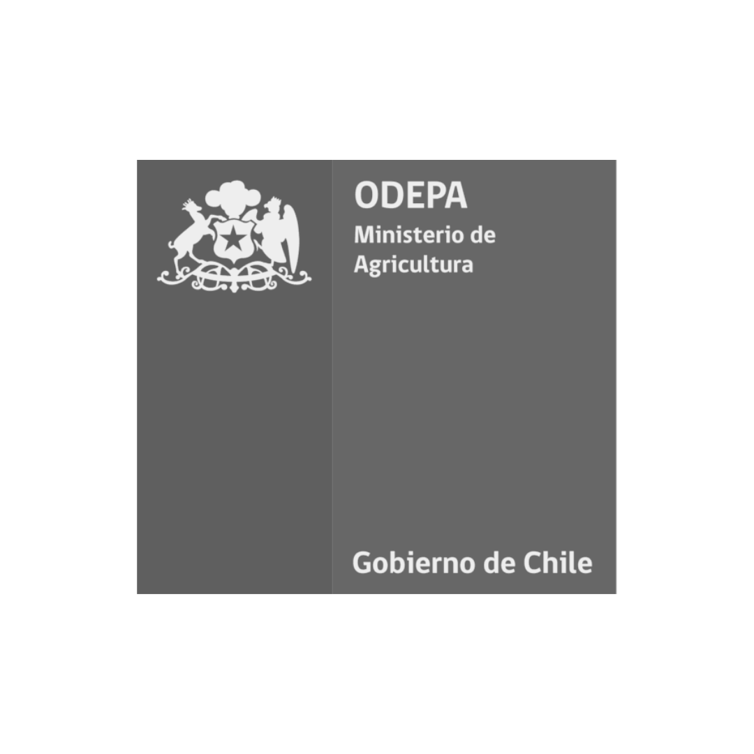 ODEPA