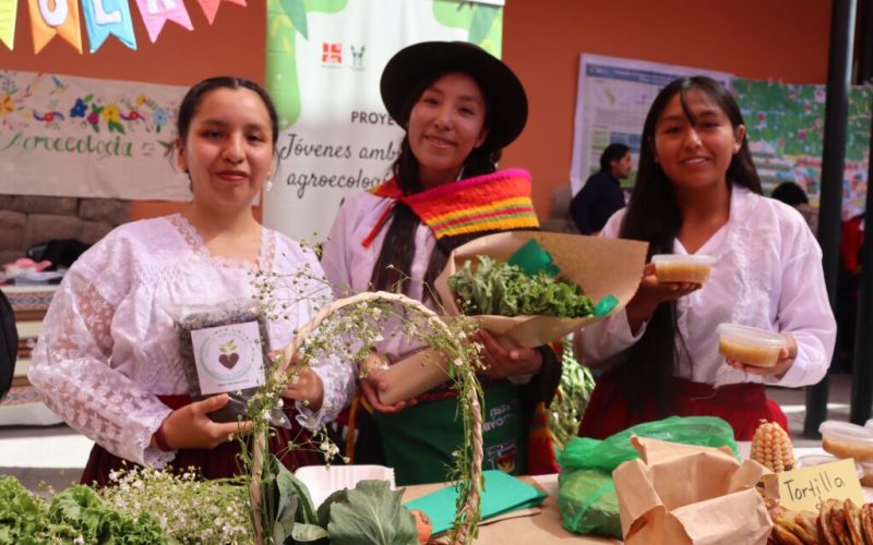ANPEV Perú